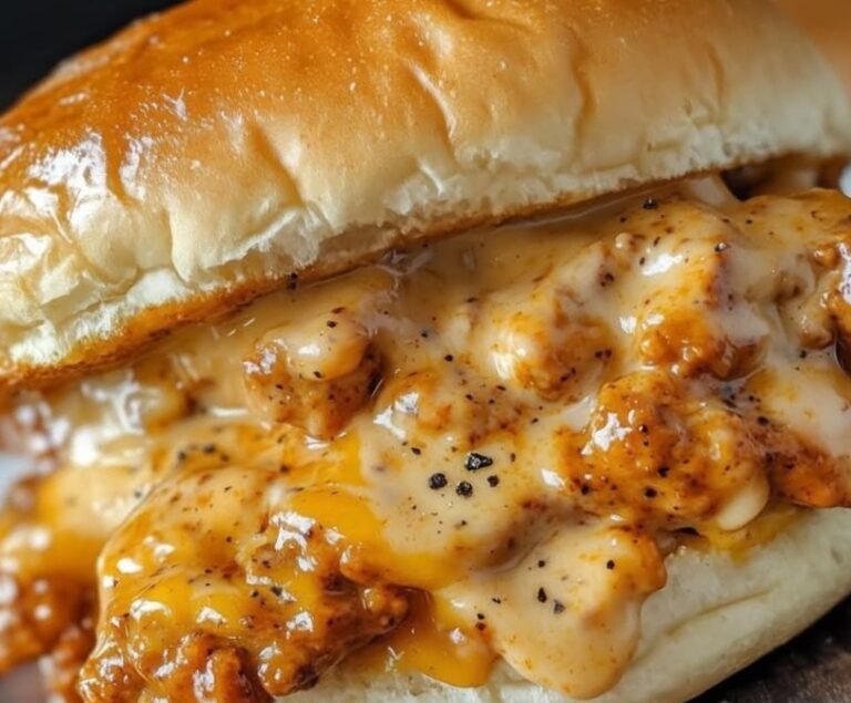 Cajun Chicken Sloppy Joes