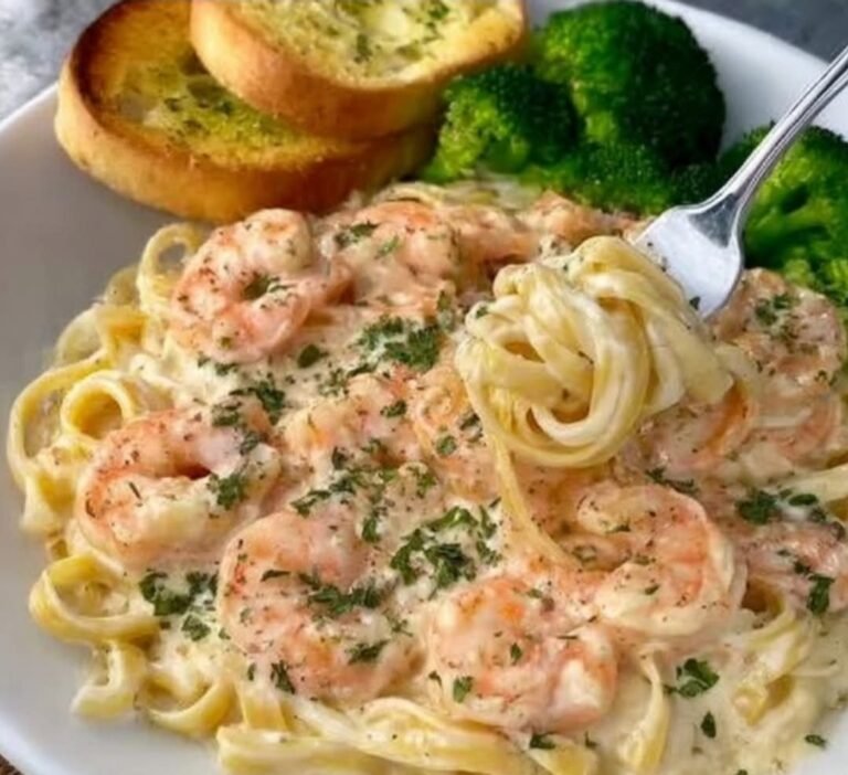 Creamy Shrimp Alfredo Pasta